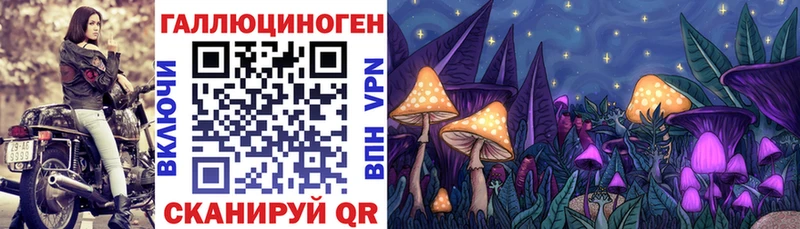 хочу наркоту  Кириши  Галлюциногенные грибы Psilocybine cubensis 
