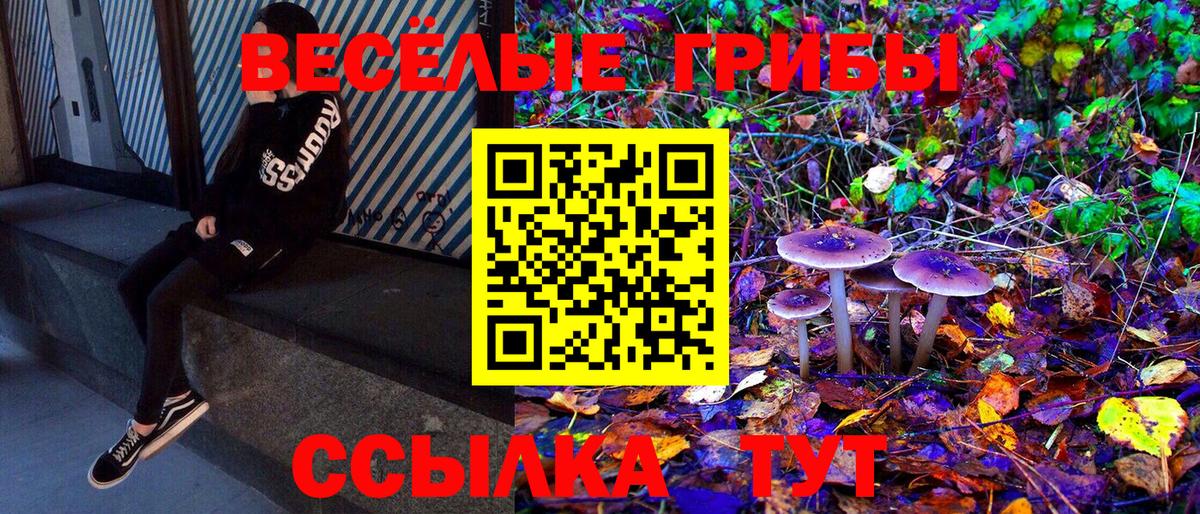 Псилоцибиновые грибы Psilocybe  даркнет сайт  Кириши  Вход с VPN 
